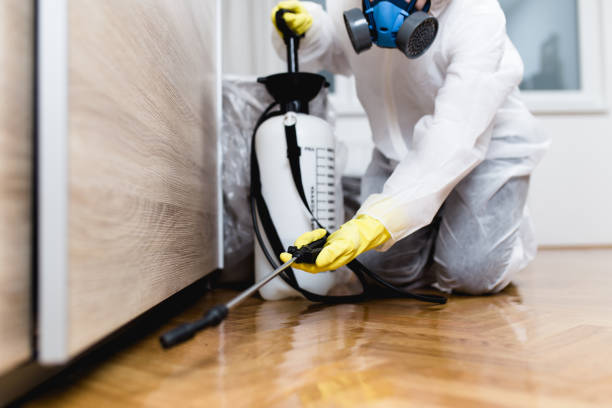 Pest Prevention Services in Delhi Hills, OH