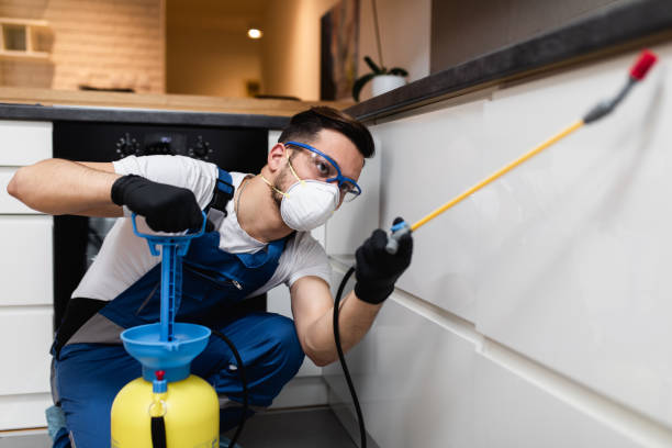 Best Bed Bug Extermination  in Delhi Hills, OH