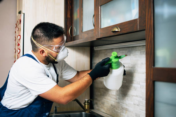Best Pest Control Near Me  in Delhi Hills, OH