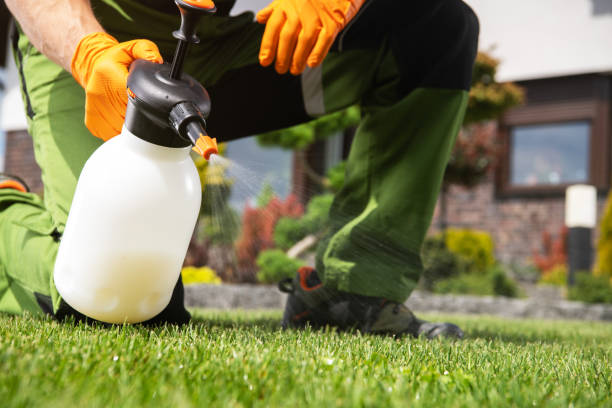 Best Spider Control Near Me  in Delhi Hills, OH