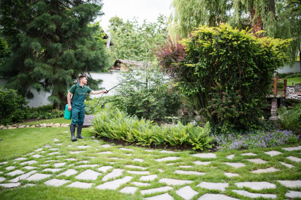 Best Emergency Pest Control  in Delhi Hills, OH
