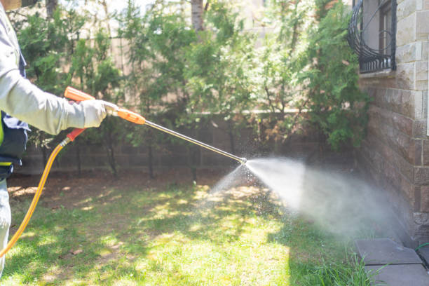 Reliable Delhi Hills, OH Pest Control Solutions