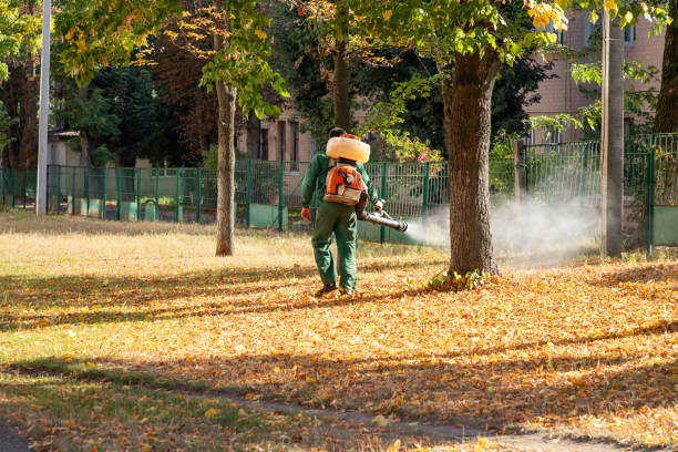 Wildlife Control Services in Delhi Hills, OH