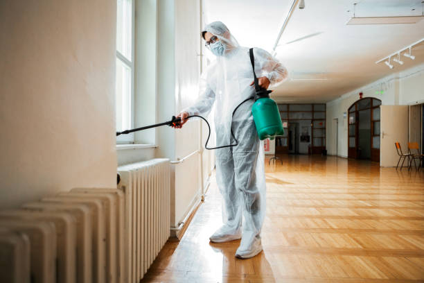 Best Best Pest Control Companies  in Delhi Hills, OH
