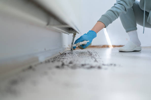 Best Affordable Pest Control Services  in Delhi Hills, OH