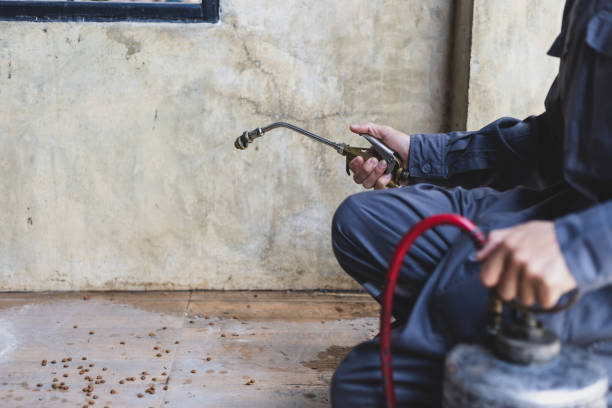 Pest Control for Restaurants in Delhi Hills, OH